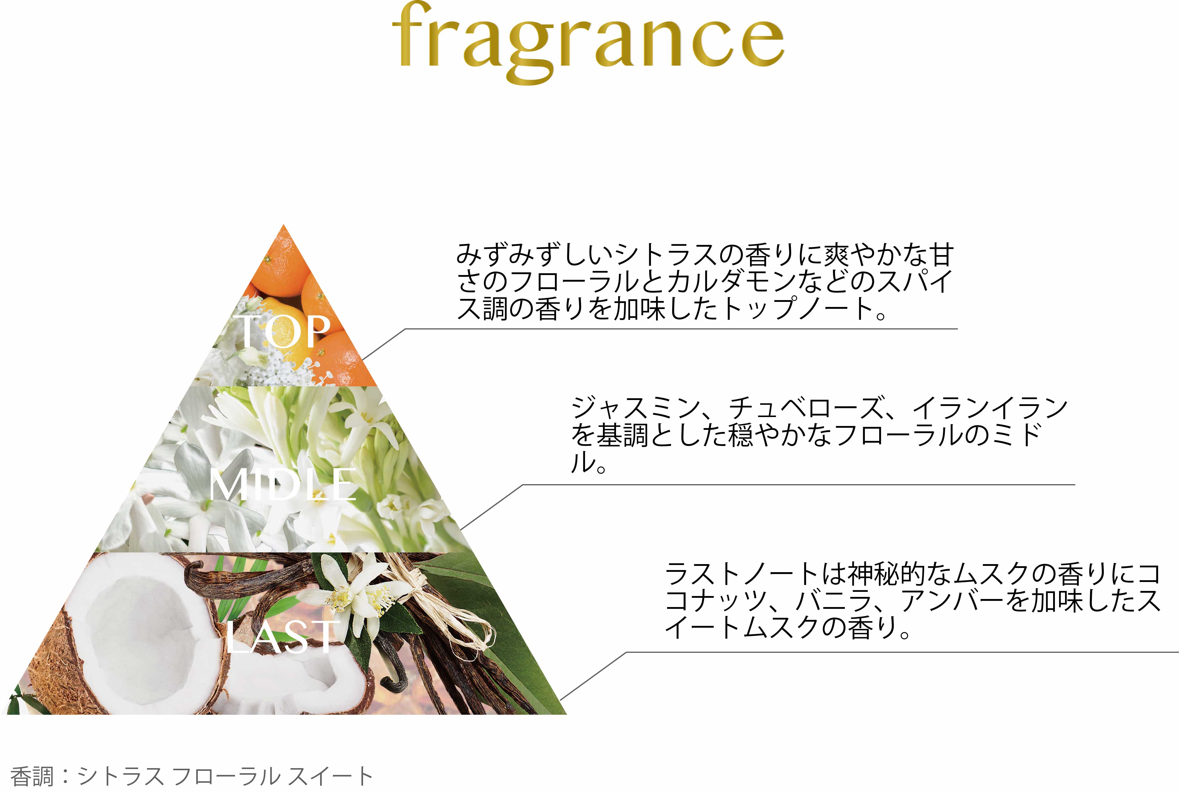 umu with royface   香りの三角　香りの紹介　sp